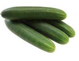 SEMENCES DE CONCOMBRE