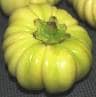 SEMENCES D'AUBERGINE AFRICAINE