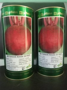 SEMENCES DE BETERAVE
