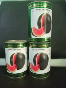 SEMENCES DE PASTEQUE