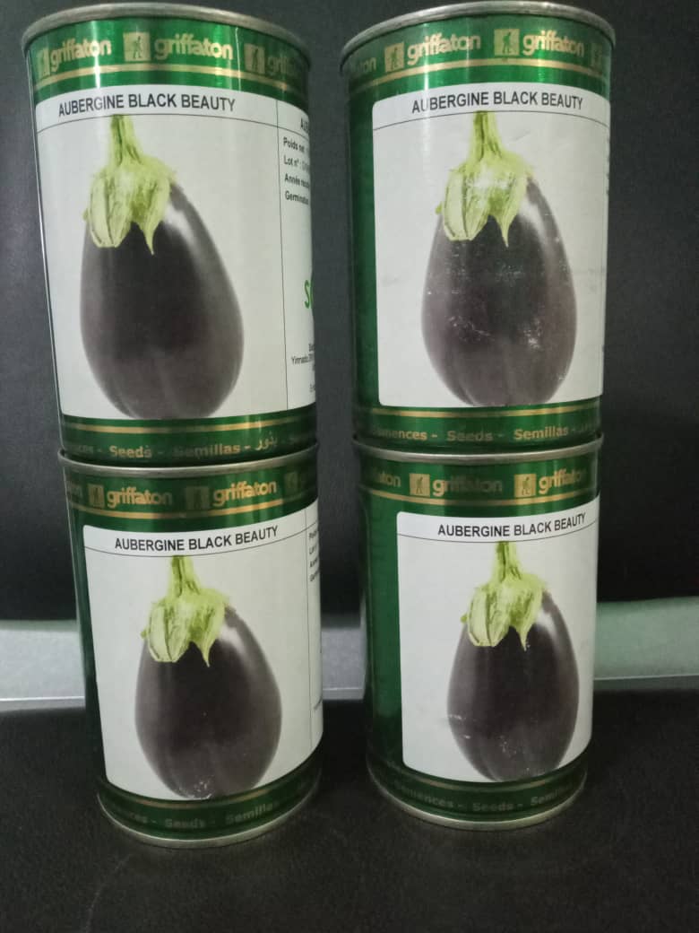 SEMENCES D'AUBERGINE