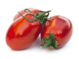 SEMENCES DE TOMATE ROMA