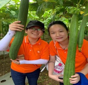King Quenson/ Chine pour la fourniture des produits phytosanitaires homologués et les pulvérisateurs