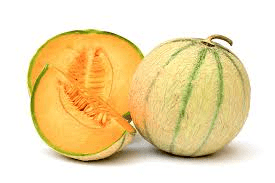 SEMENCES DE MELON